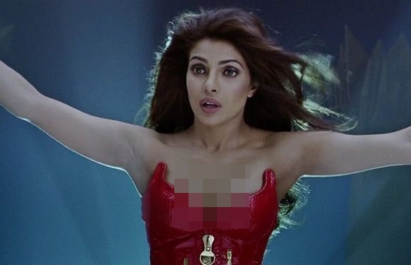 8 Seleb top Bollywood ini ternyata pernah jadi cameo