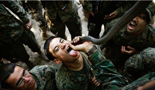 10 Potret tentara minum darah ular ini bikin dada deg-degan