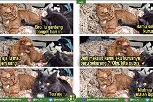 7 Obrolan seru dua kucing ini sindir kelakuan manusia zaman now