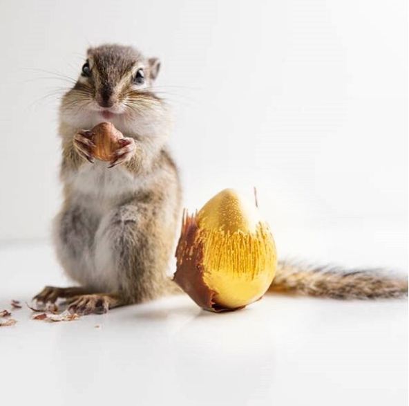 10 Kue ini mirip banget sama buah asli, bikin nggak tega makan