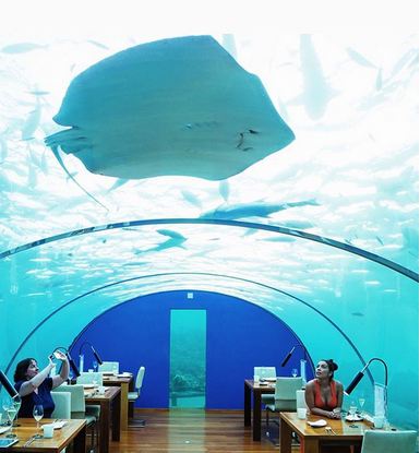 Pertama di dunia, 10 penampakan restoran bawah air ini bikin terpukau