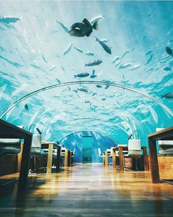 Pertama di dunia, 10 penampakan restoran bawah air ini bikin terpukau