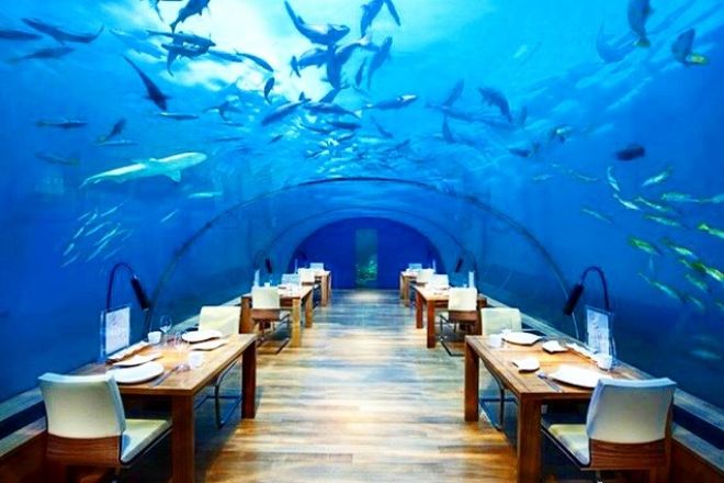 Pertama di dunia, 10 penampakan restoran bawah air ini bikin terpukau