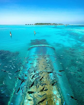 Pertama di dunia, 10 penampakan restoran bawah air ini bikin terpukau