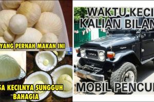 11 Meme ini dijamin bikin kamu mewek ingat indahnya masa kecil