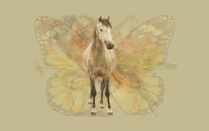 Hewan pertama yang kamu lihat di gambar ini bisa ungkap kepribadianmu