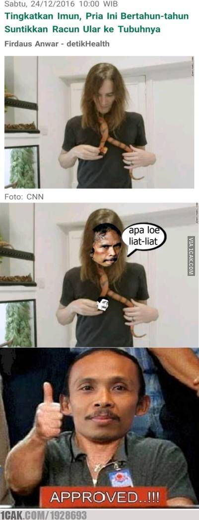 14 Meme titisan Mad Dog ini kocaknya bikin ketawa gereget