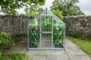 Rumah kaca ini unik, fakta di balik tanaman hijaunya bikin kaget