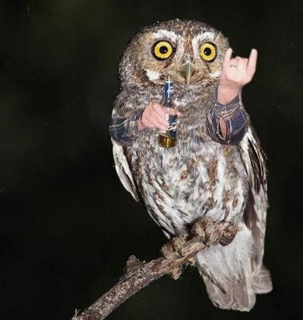 Foto Editan Lucu Halaman 20 Halaman 20 Brilistyle Brilio Ne