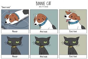 Ilustrasi 10 perbedaan kucing dan anjing ini bikin pengen pelihara