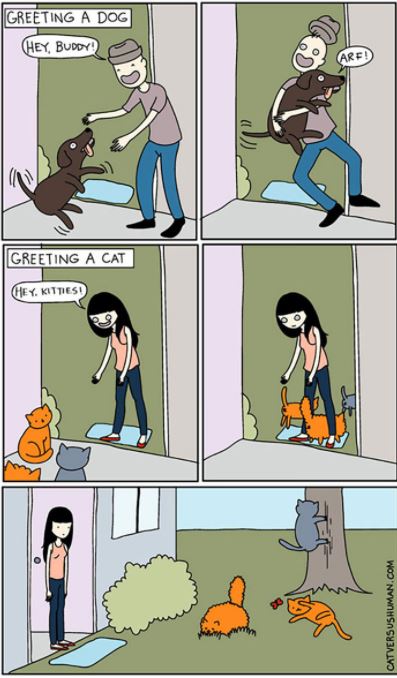 Ilustrasi 10 perbedaan kucing dan anjing ini bikin pengen pelihara