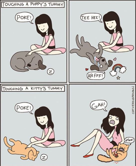 Ilustrasi 10 perbedaan kucing dan anjing ini bikin pengen pelihara