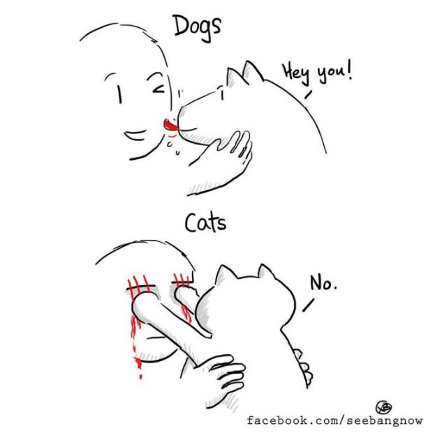 Ilustrasi 10 perbedaan kucing dan anjing ini bikin pengen pelihara