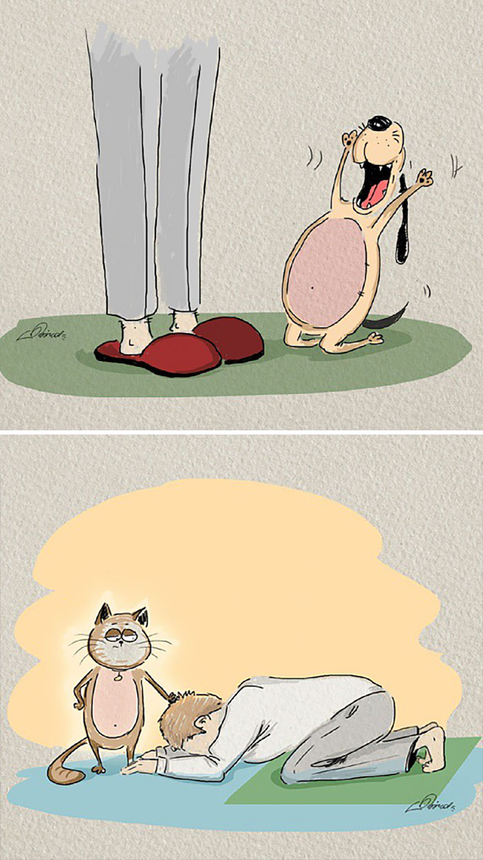 Ilustrasi 10 perbedaan kucing dan anjing ini bikin pengen pelihara