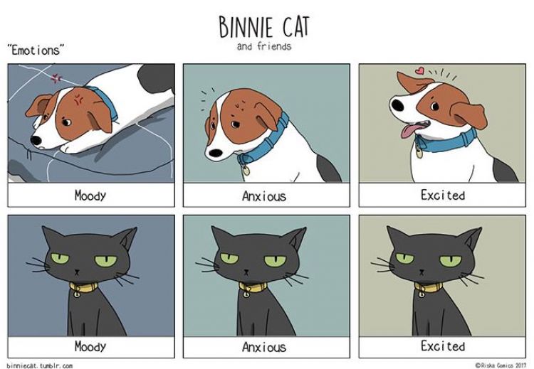 Ilustrasi 10 Perbedaan Kucing Dan Anjing Ini Bikin Pengen