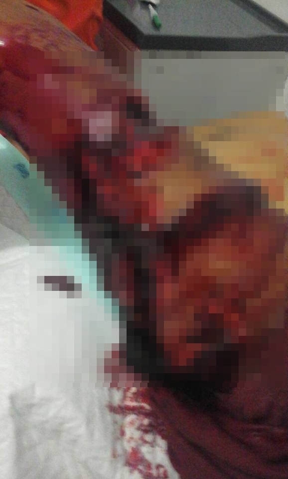 Perjuangan pria di Riau lawan ular piton 7 meter ini bikin deg-degan