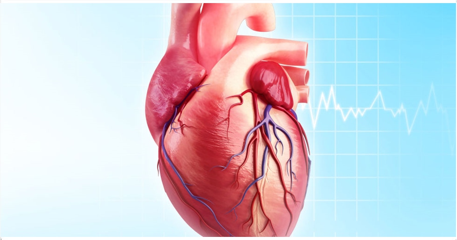 Penyebab sakit jantung ini sering disepelekan, bahayanya setara rokok