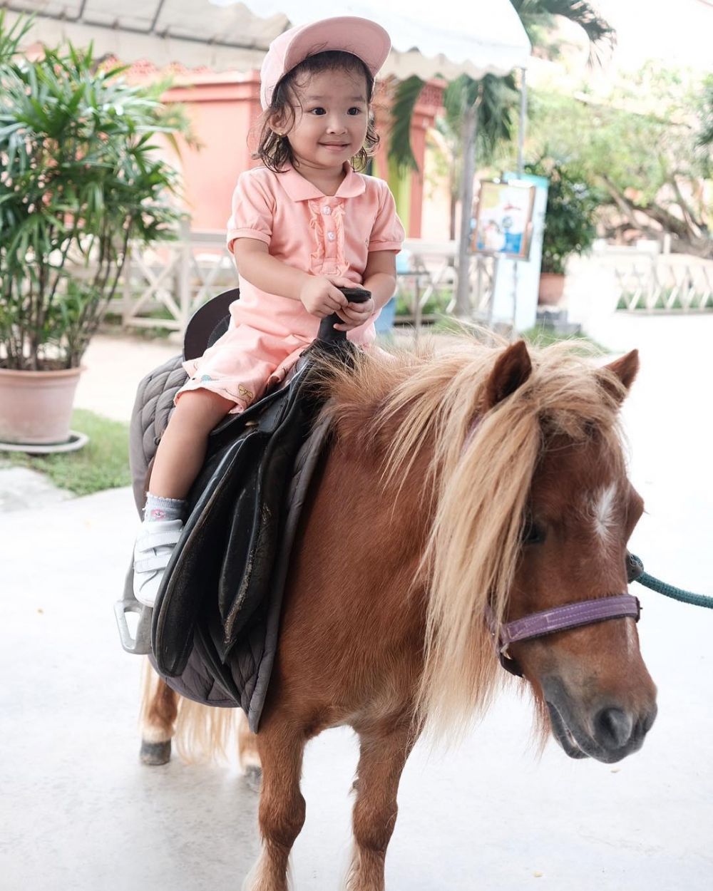 Ruben Onsu & Sarwendah belikan anaknya seekor kuda poni, ini alasannya