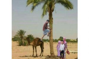 10 Foto editan kocak 'lagi liburan' ini imajinasinya tingkat dewa