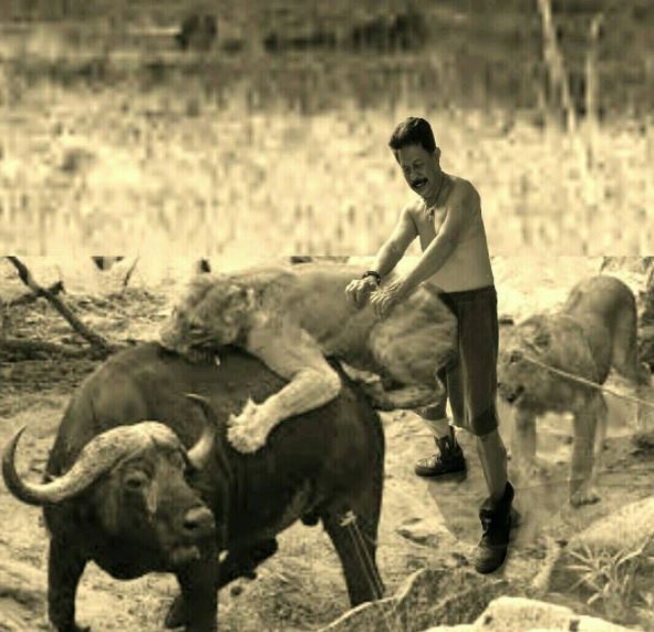 10 Foto editan kocak 'lagi liburan' ini imajinasinya tingkat dewa