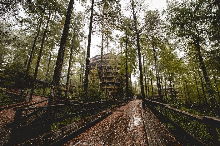 Dibangun di tengah hutan, penampakan hotel bambu ini mewah abis