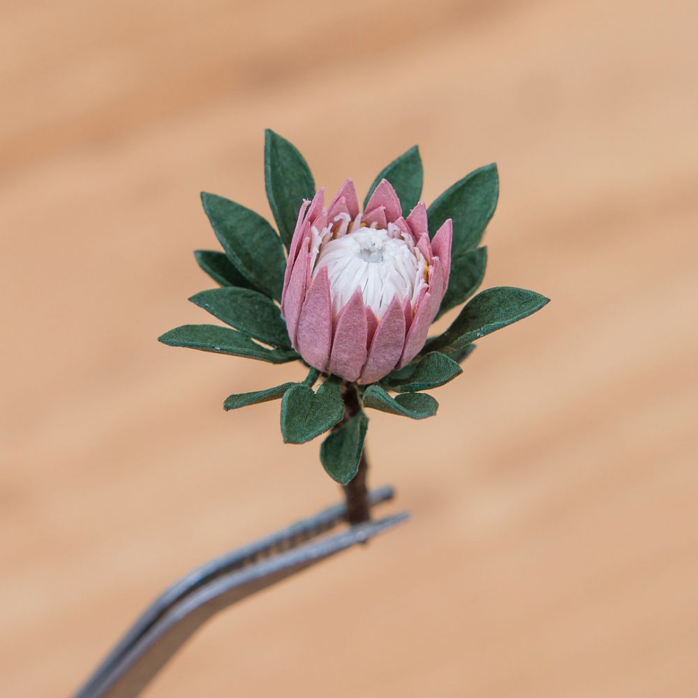 10 Karya miniatur tanaman dari kertas, detailnya bikin terpana