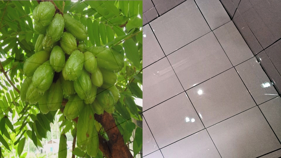 Buah legendaris ini ampuh banget bersihkan kerak membandel di keramik