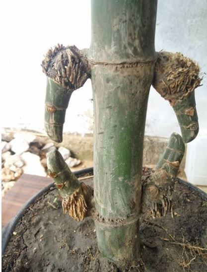 10 Benda berbau mistis ini nggak sangka dijual via online