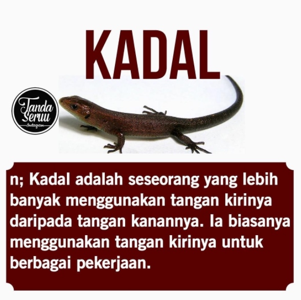 15 Meme pelesetan kata ini ngelanturnya bikin kamu terpaksa ketawa