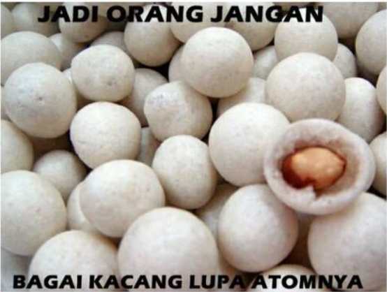 12 Meme pepatah ngelantur ini bikin geregetan sekalian ngakak