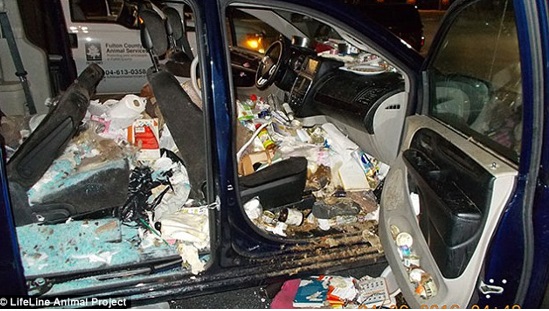 10 Mobil ini jorok banget, bikin nggak betah berkendara