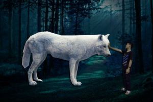 10 Foto editan amatiran ini hasilnya justru lucu-lucu