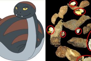 5 Fakta unik ular saat buang air besar yang tak banyak diketahui 