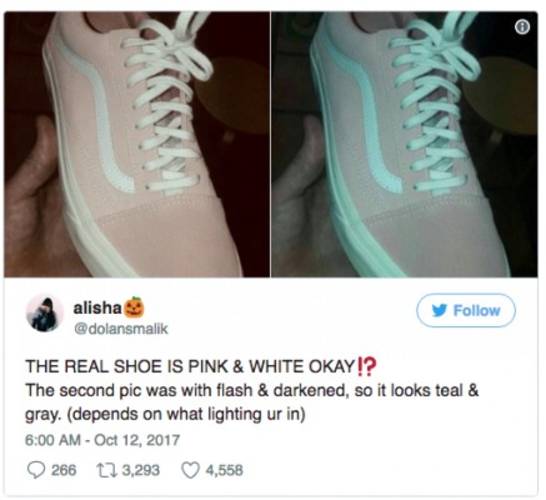 Warna sepatu ini jadi perdebatan warganet, tebak yang benar apa?