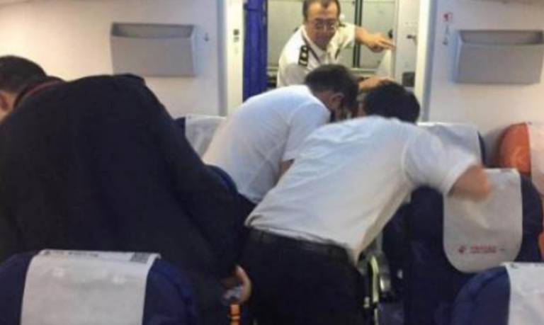 Ratusan kecoak ditemukan di dalam pesawat, penumpang tunggang langgang