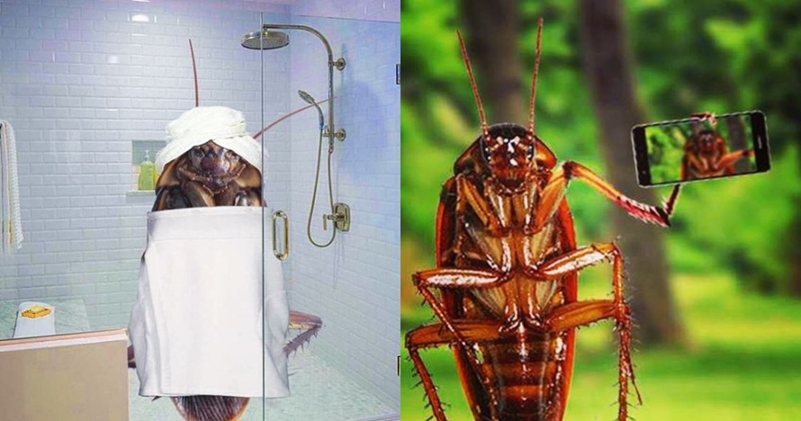 15 Foto tunjukkan 'andai kecoa juga manusia' ini bikin tepuk jidat