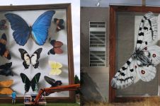 10 Seni mural ini ubah gedung jadi kotak kaca penuh dengan kupu-kupu