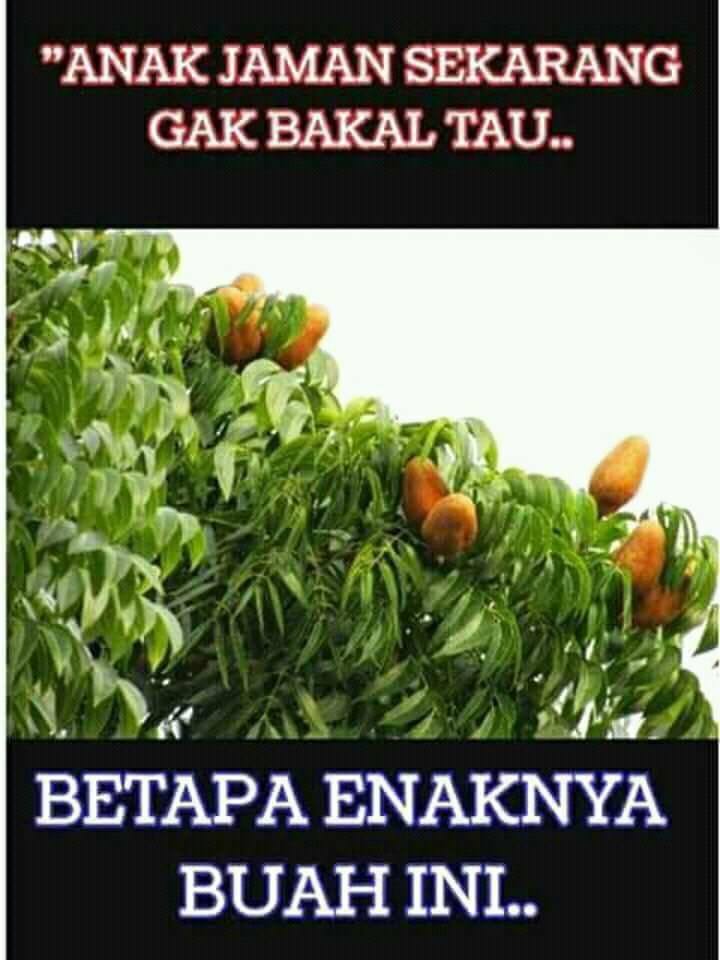 12 Meme 'Kids jaman now tak akan tahu' ini lucunya bikin nostalgia