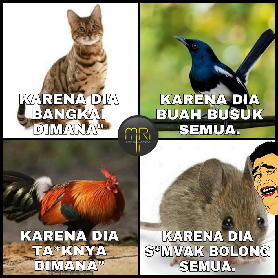 10 Meme lucu 'karena dia' ini akan mudakan tanggal tuamu