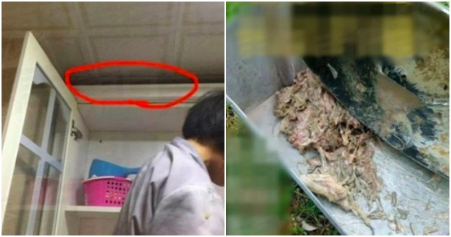 Uang jaminan sewa rumah tak dikembalikan, orang ini sebar bangkai ikan