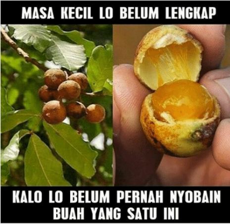 10 Meme pelengkap masa kecil ini bikin inget zaman old