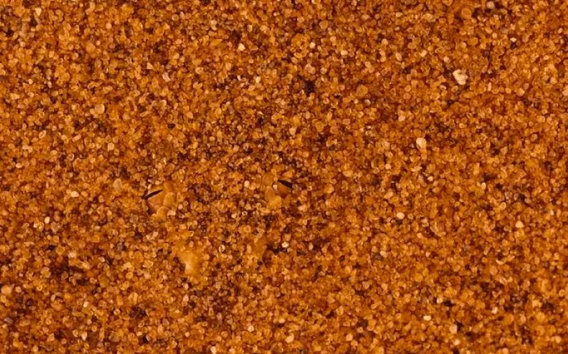 Bisakah kamu menemukan hewan di 13 gambar ini kurang dari 1 menit?