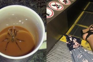 10 Momen keseharian ini bikin kamu bergidik, ada laba-laba di kopi