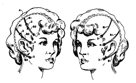 10 Penemuan ini aneh dan tak akan kamu sangka, ada popok khusus burung