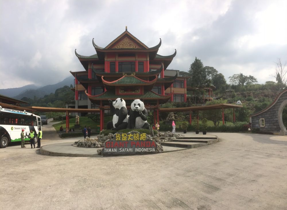 Untuk makan panda, taman wisata ini tanam bambu seluas 8 hektare