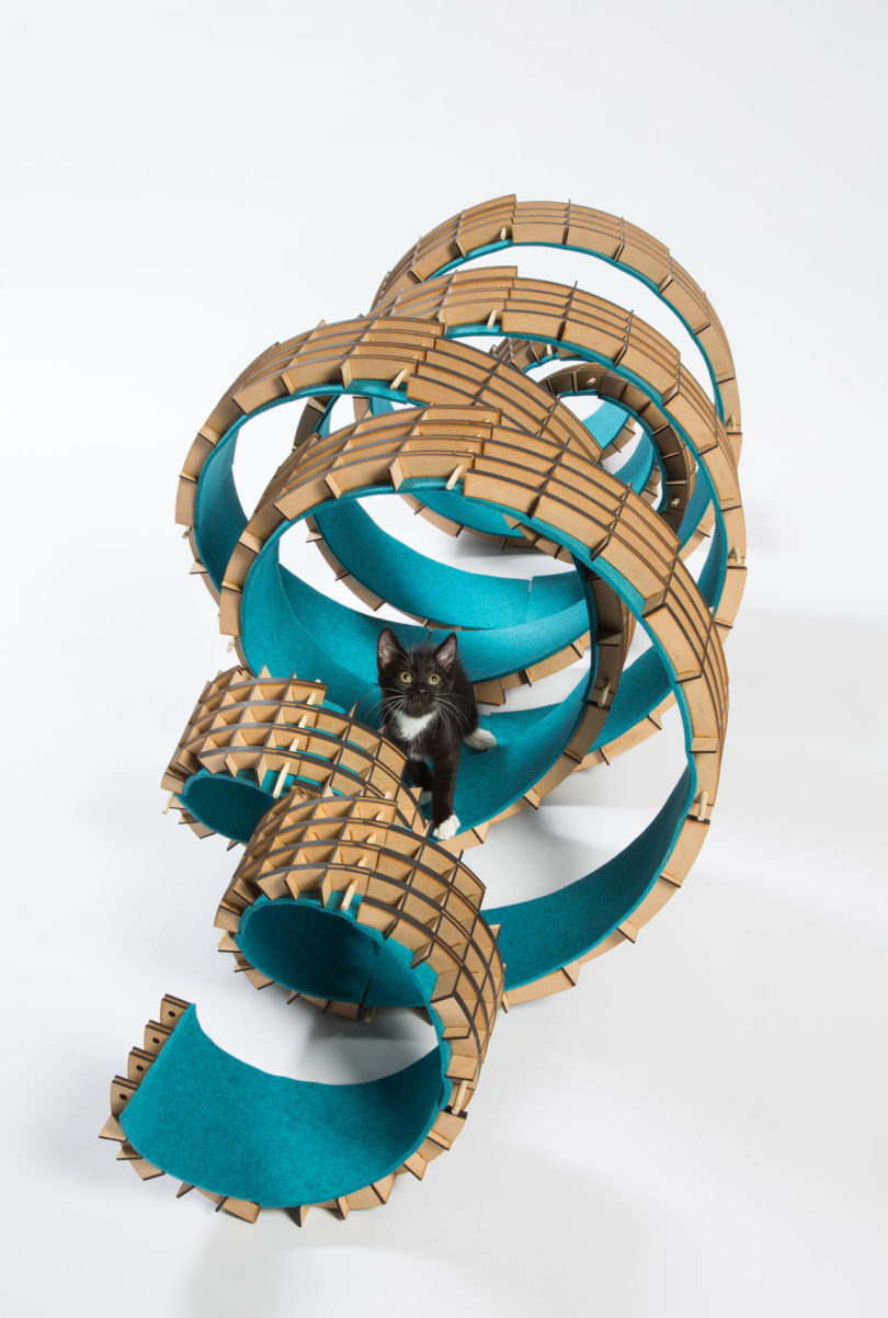 10 Wahana bermain khusus kucing ini keren abis, bak arsitektur mewah