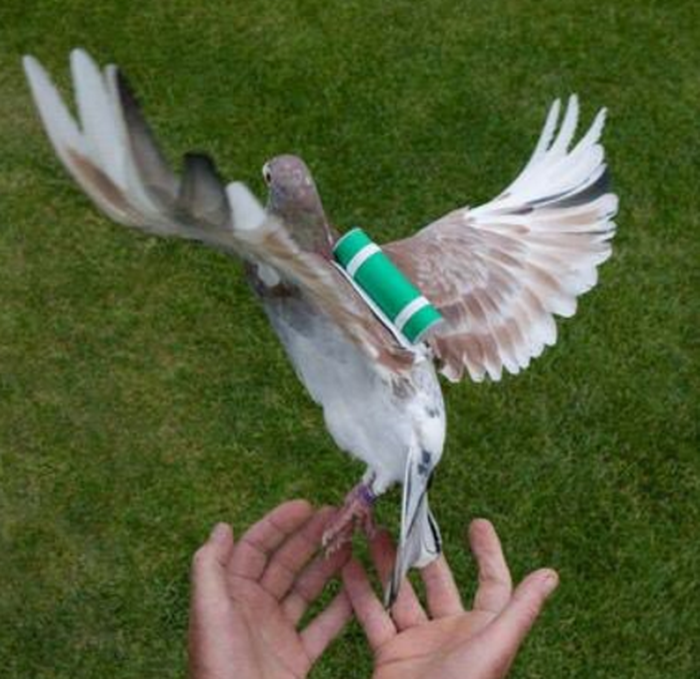 10 Meme 'gara-gara WhatsApp down' ini kocaknya bikin ngakak