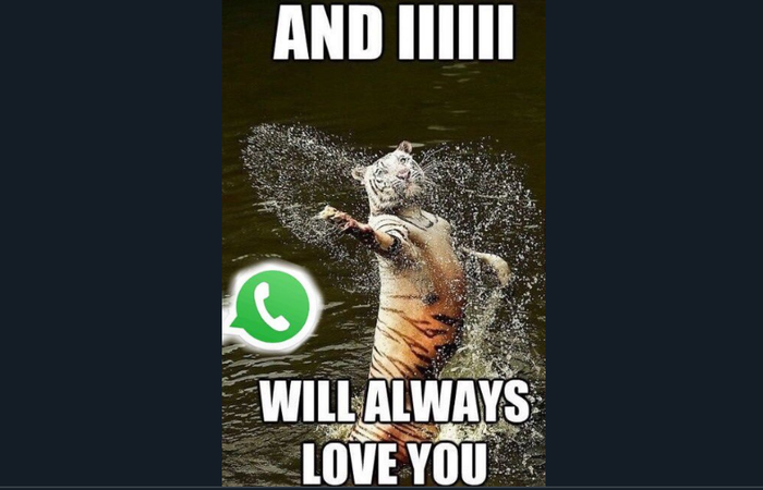 10 Meme 'gara-gara WhatsApp down' ini kocaknya bikin ngakak
