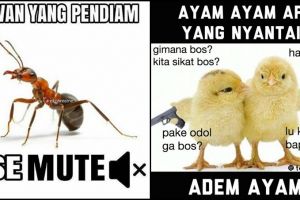8 Meme nama-nama hewan ini benar juga ya, bikin ngakak deh