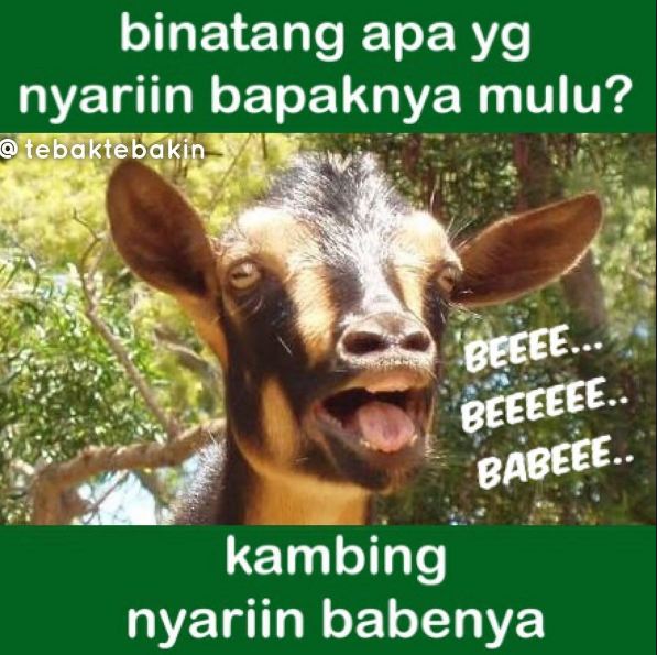 8 Meme nama-nama hewan ini benar juga ya, bikin ngakak deh